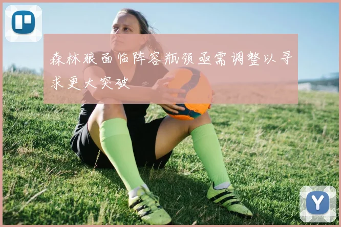 森林狼面临阵容瓶颈亟需调整以寻求更大突破