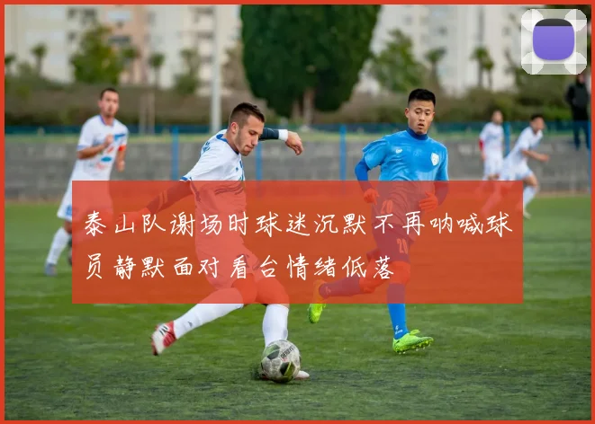 泰山队谢场时球迷沉默不再呐喊球员静默面对看台情绪低落