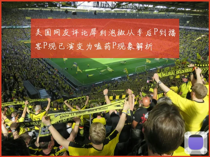 美国网友评论犀利泡椒从季后P到播客P现已演变为嗑药P现象解析